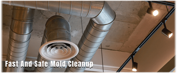 Air Duct Mold Removal in Denton
