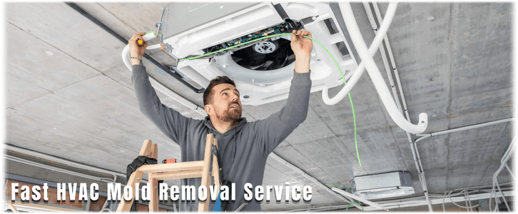 HVAC Mold Removal Denton